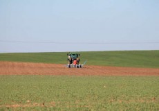 La Consejería de Agricultura y Ganadería mantiene su apoyo al rejuvenecimiento del sector agrario